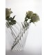 VASO ELEGANCE
