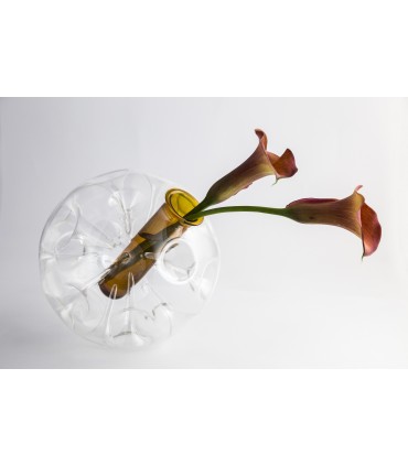 VASO BRAVEHEART GOLD